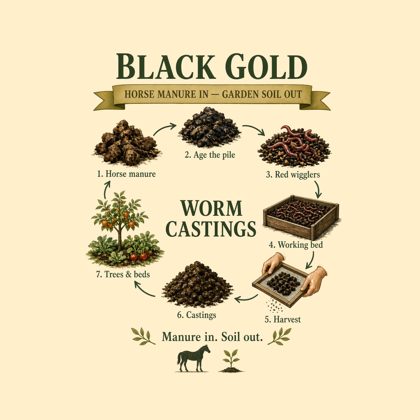 Chirripó Castings — black gold from horse manure