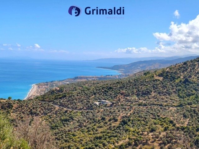 Panoramic Olive & Orchard Plot — Motta d'Affermo, Sicily