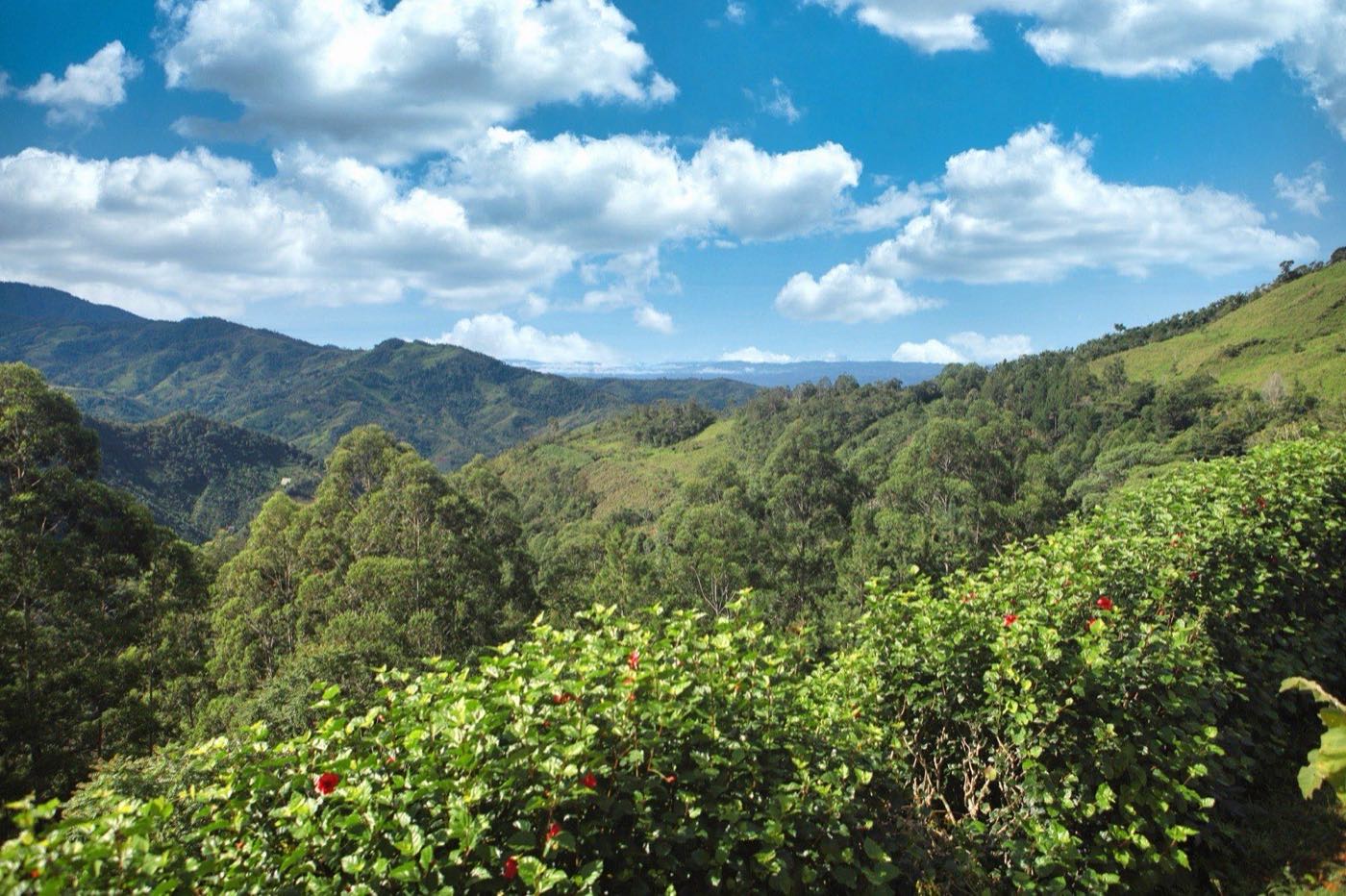 Bandera Azul, San Jose de Rivas