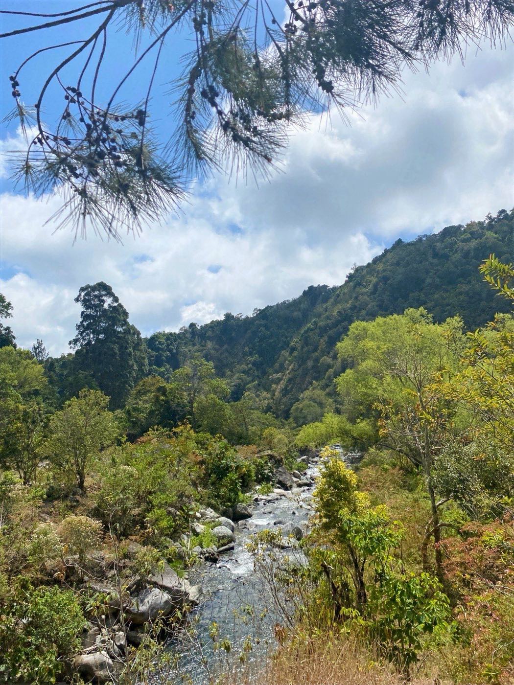 Bridge Pointe, Herradura de Rivas