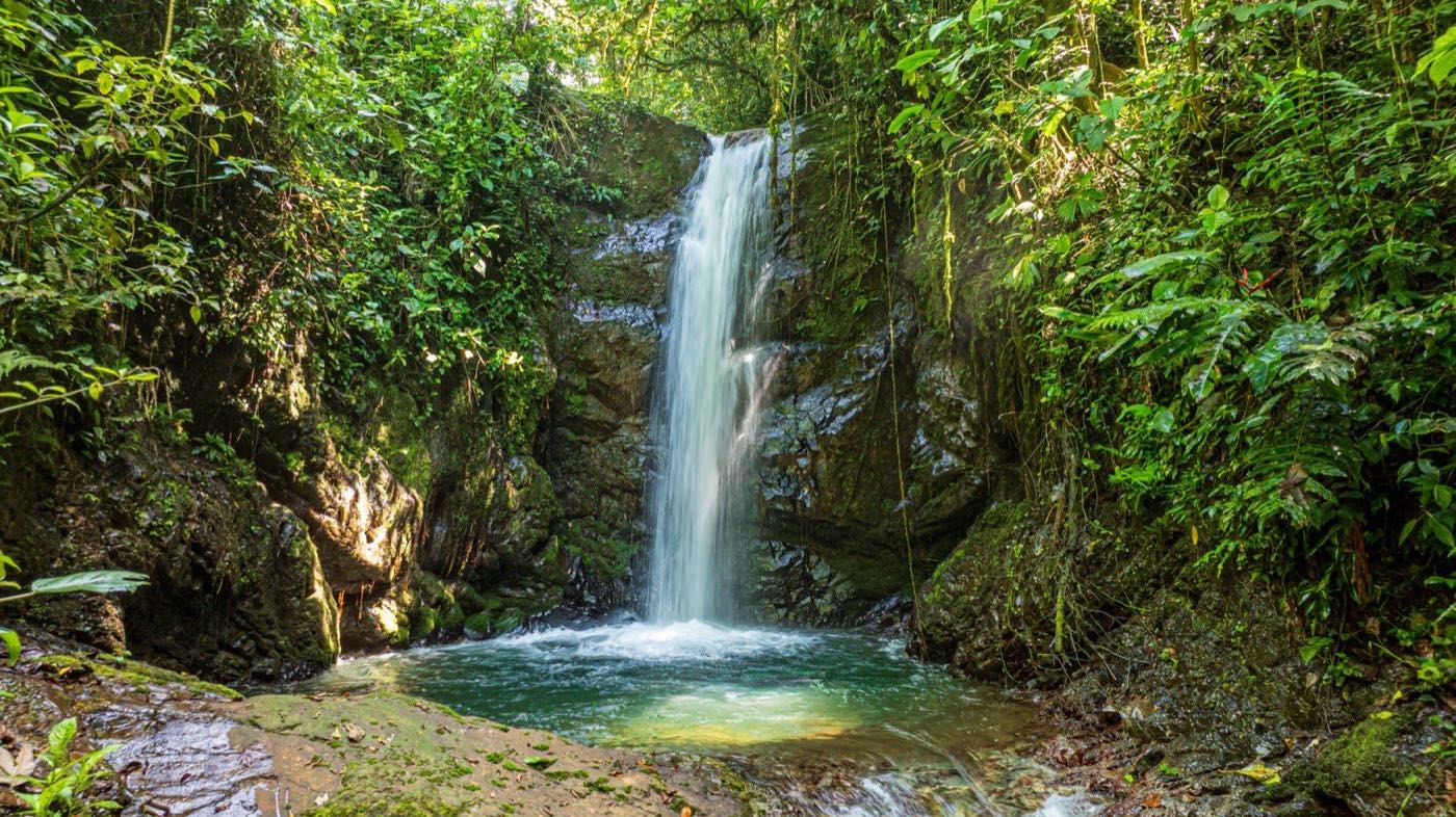 Cacique, San Jose de Rivas