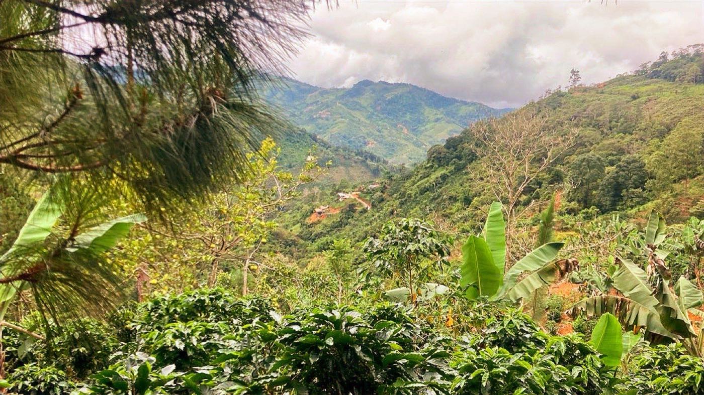 Cascades, San Jose de Rivas
