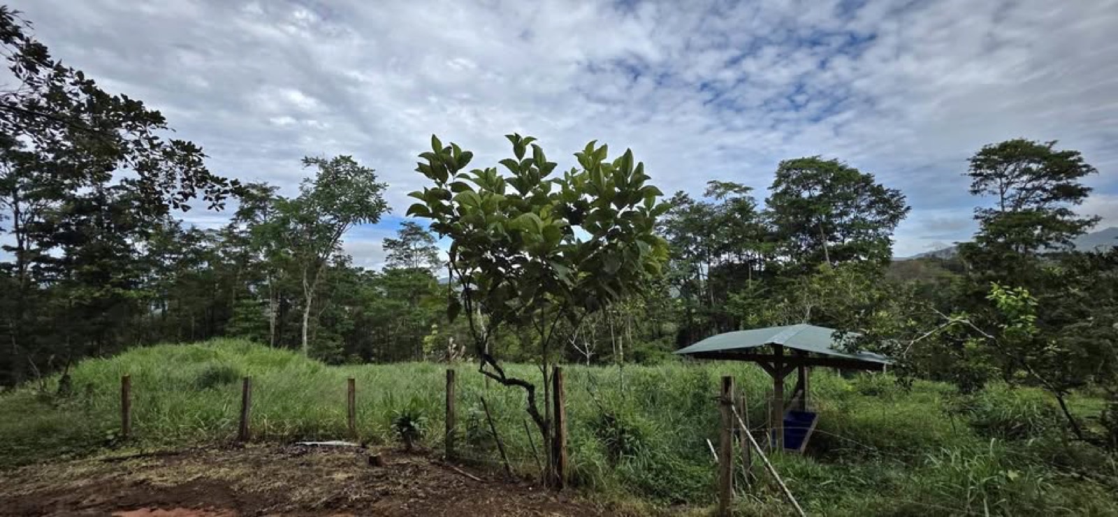 4.5 Ha River Forest, General Viejo
