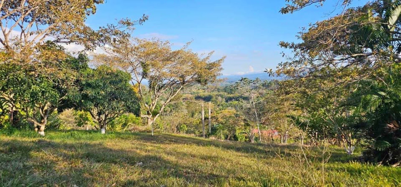 1 Ha Creek Views, Pedregoso