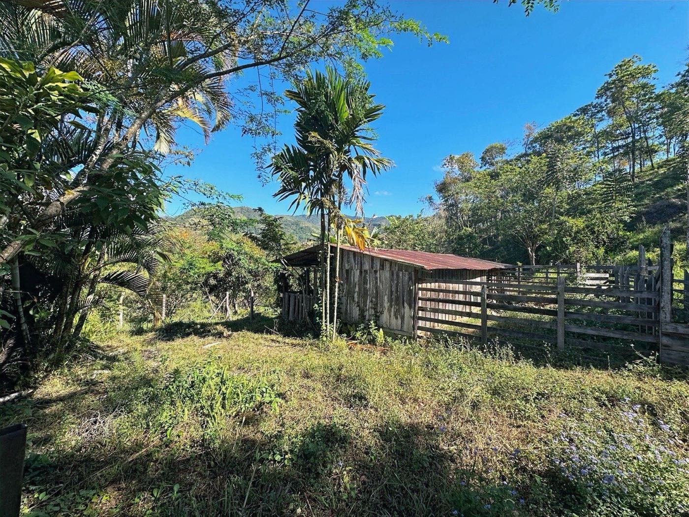 Finca Buena Vista, San Francisco de Rivas
