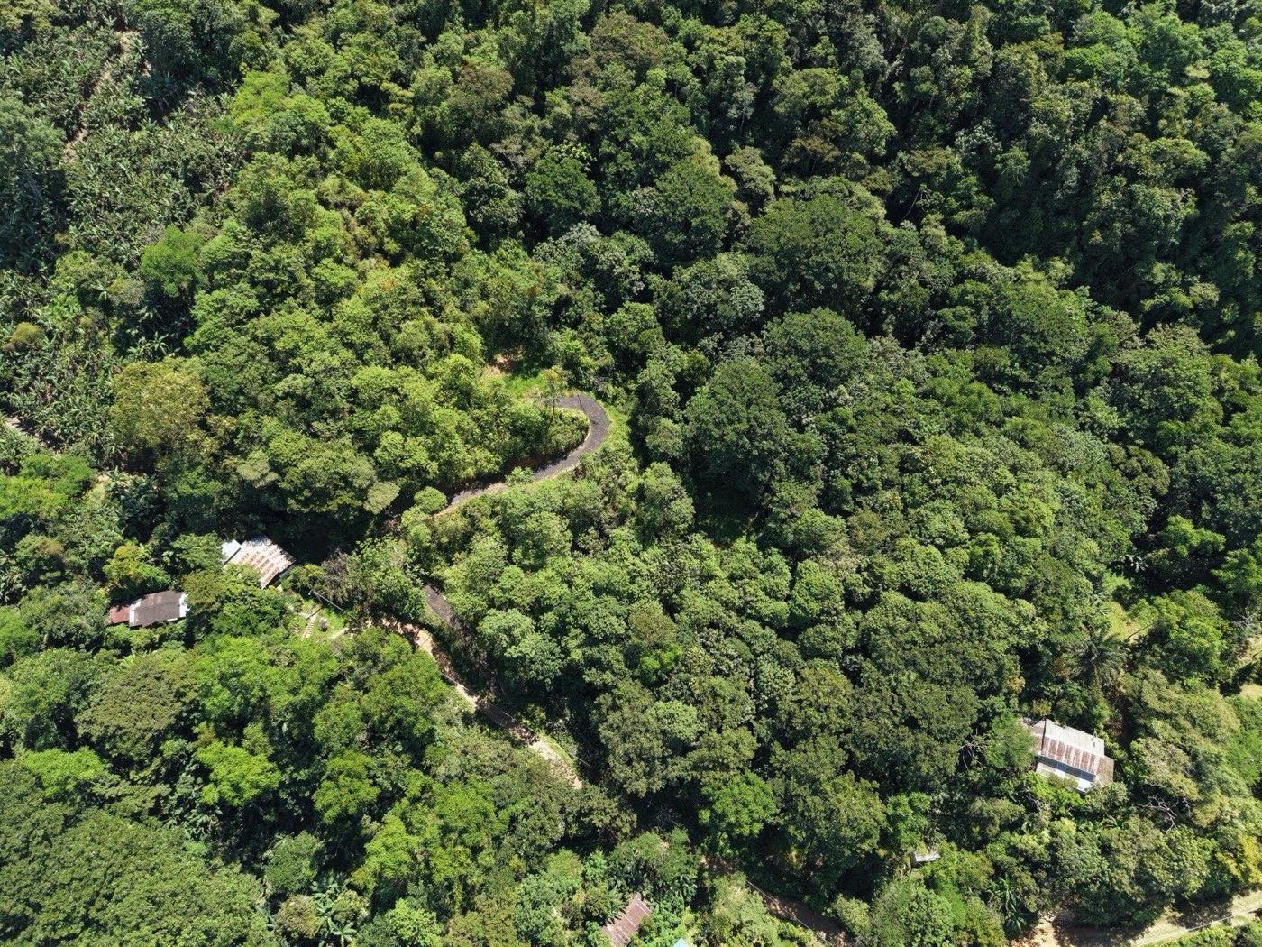 Finca Leila, Chimirol de Rivas