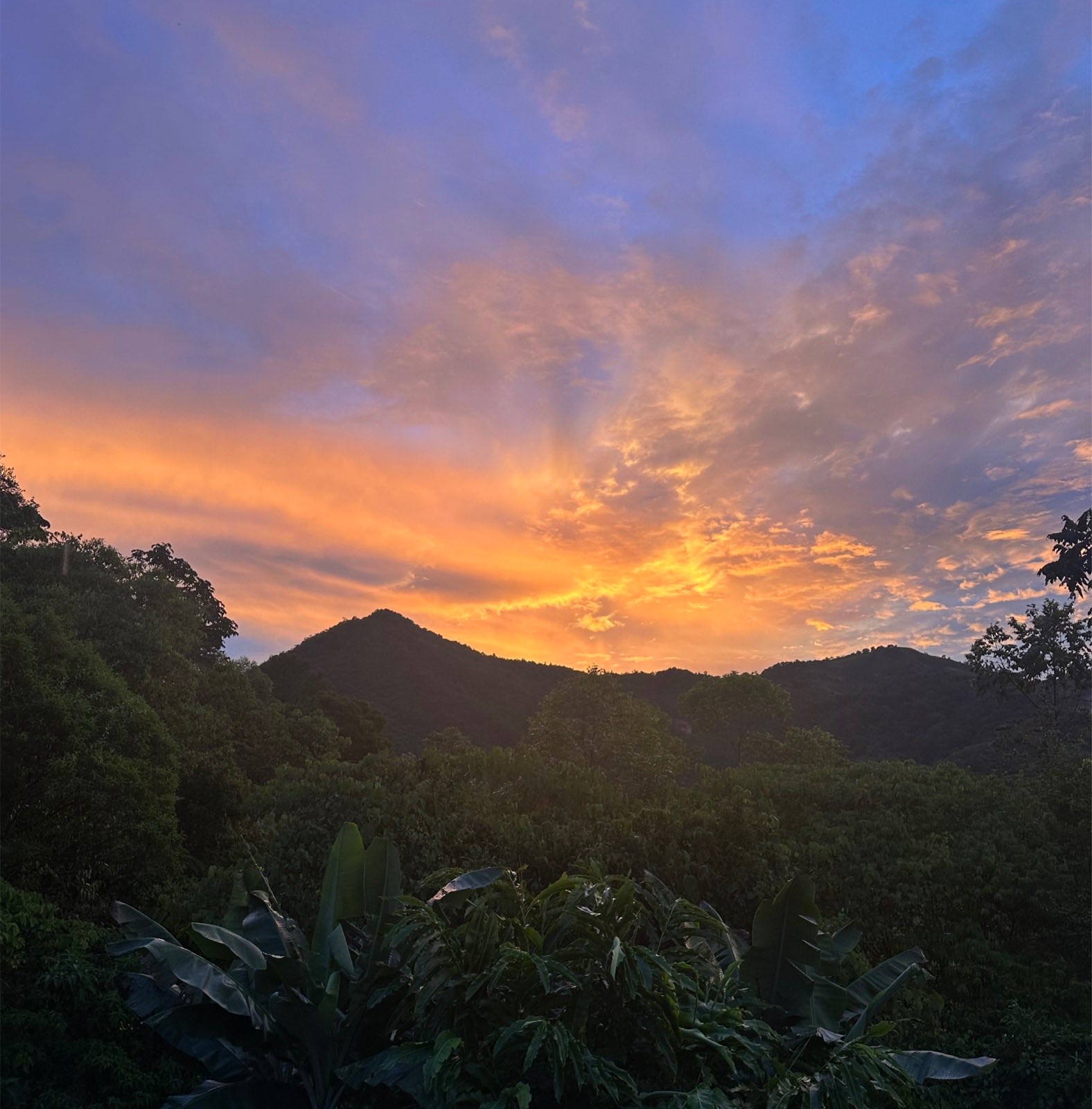 Finca Sacha Inchi, Herradura de Rivas