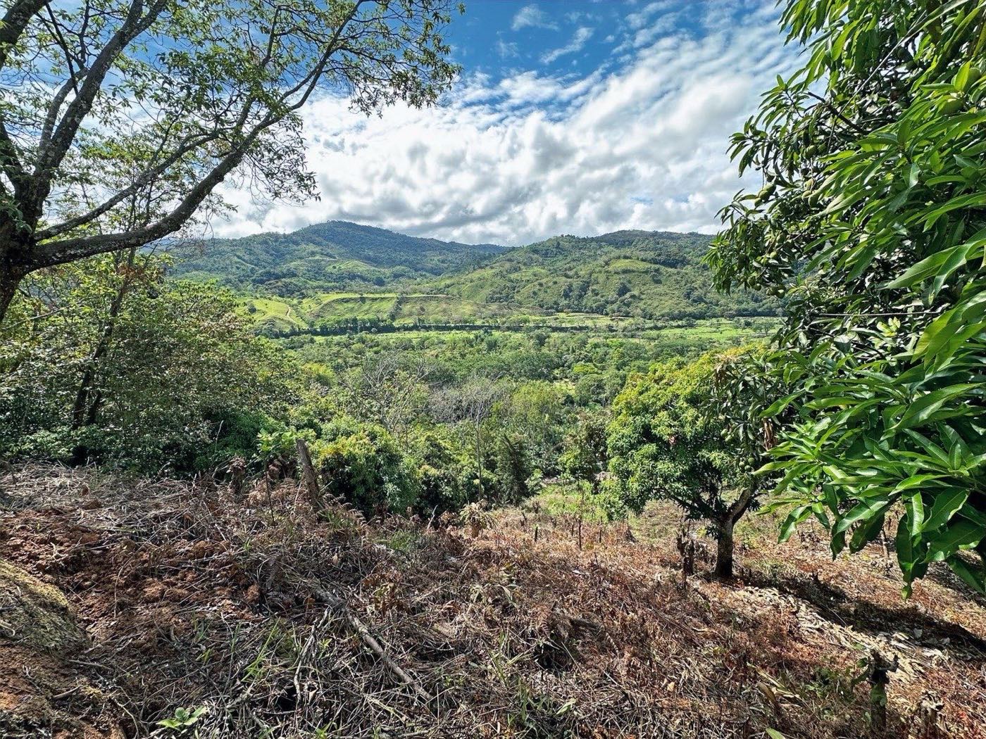 Guadalupe Centro, Guadalupe de Rivas