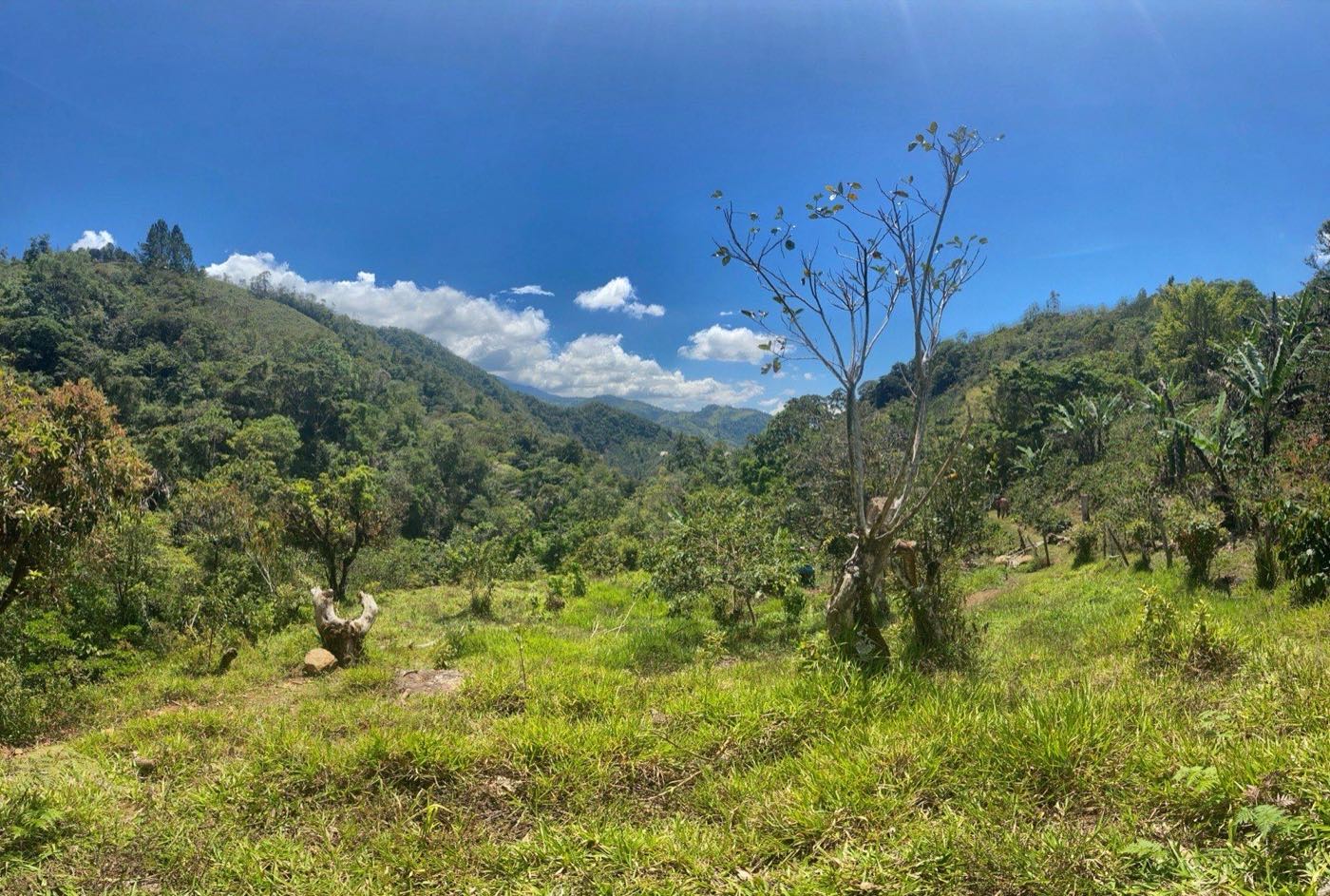 Hijo Del Medio, San Jose de Rivas
