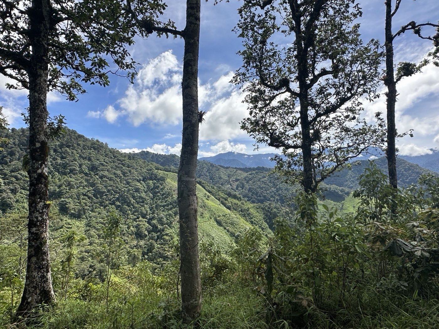 Mirador El Indio, San Jose de Rivas