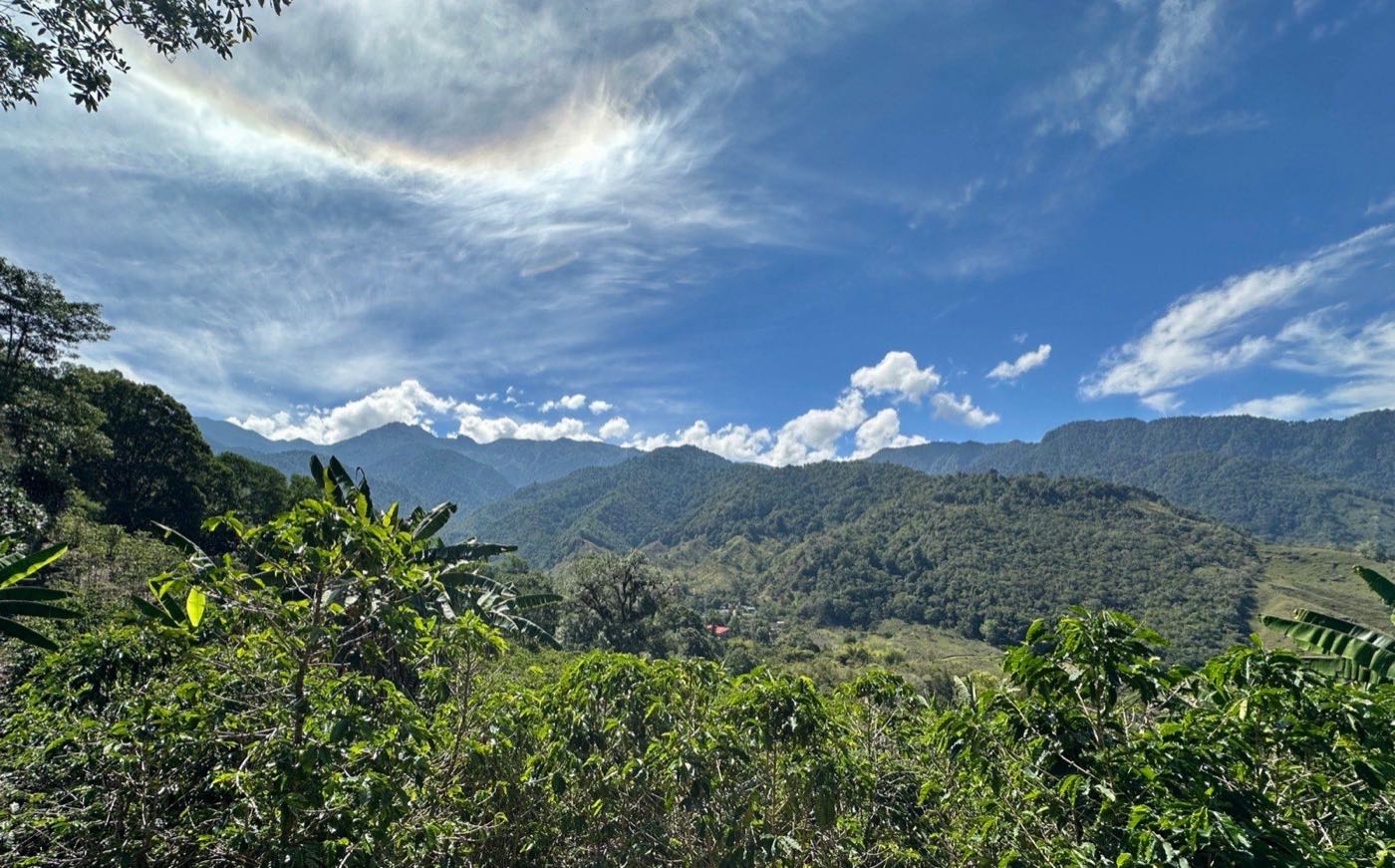 Pico Monge, La Chispa