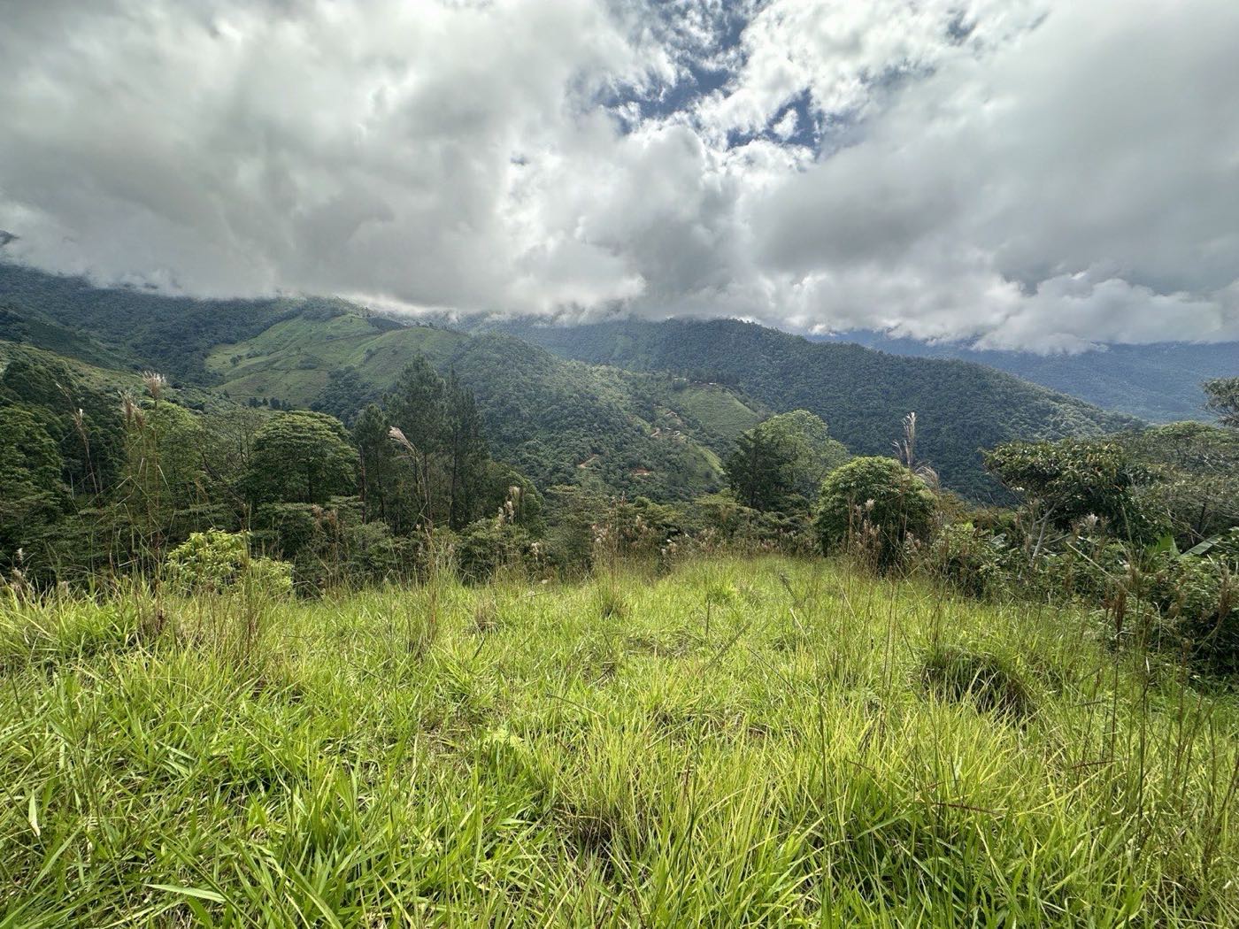 Vista Gigantes, San Jose de Rivas