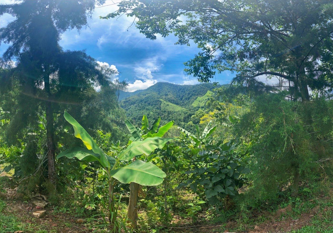 Vista Marvito, Pueblo Nuevo