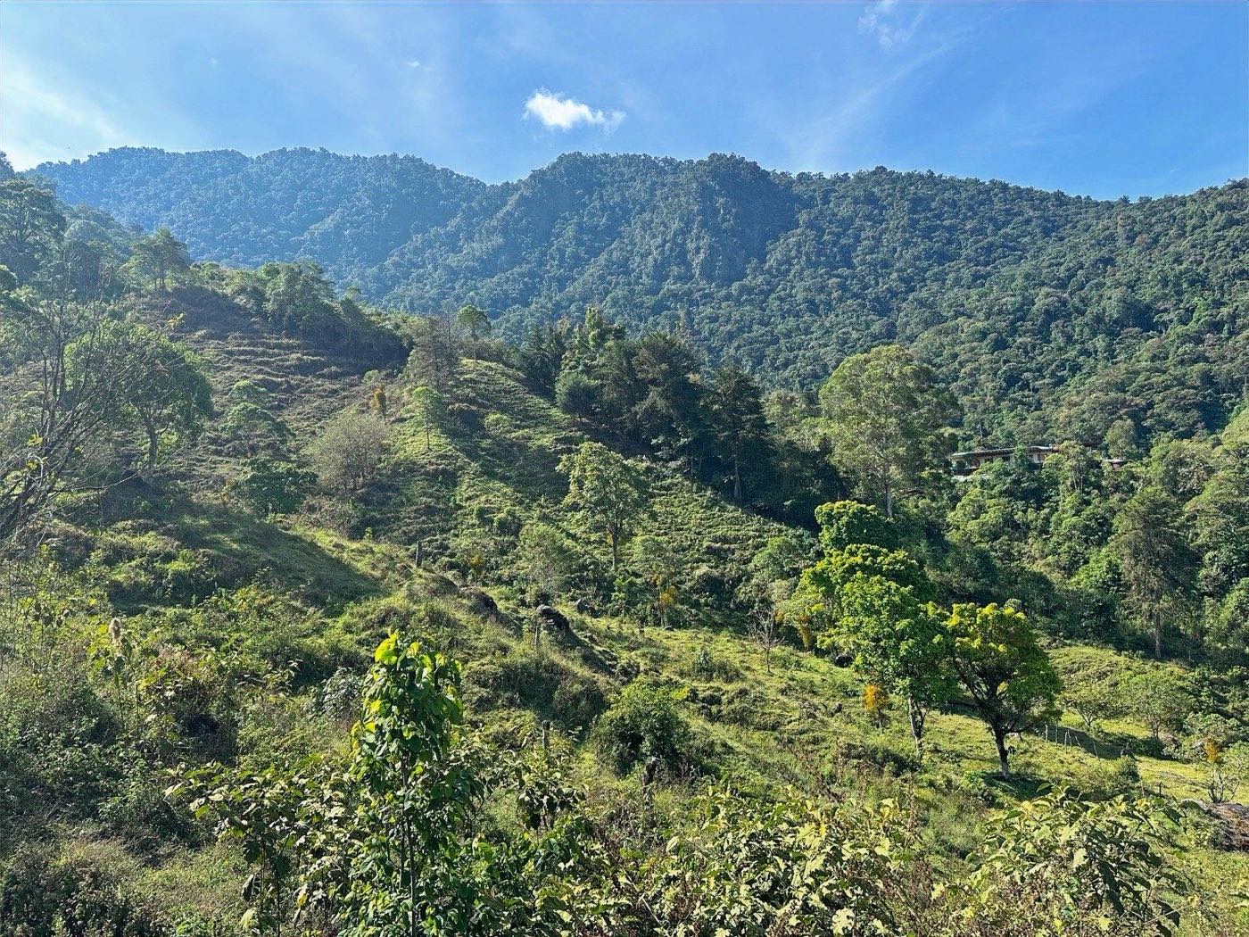Vistas Del Amistad, Los Angeles de Rivas