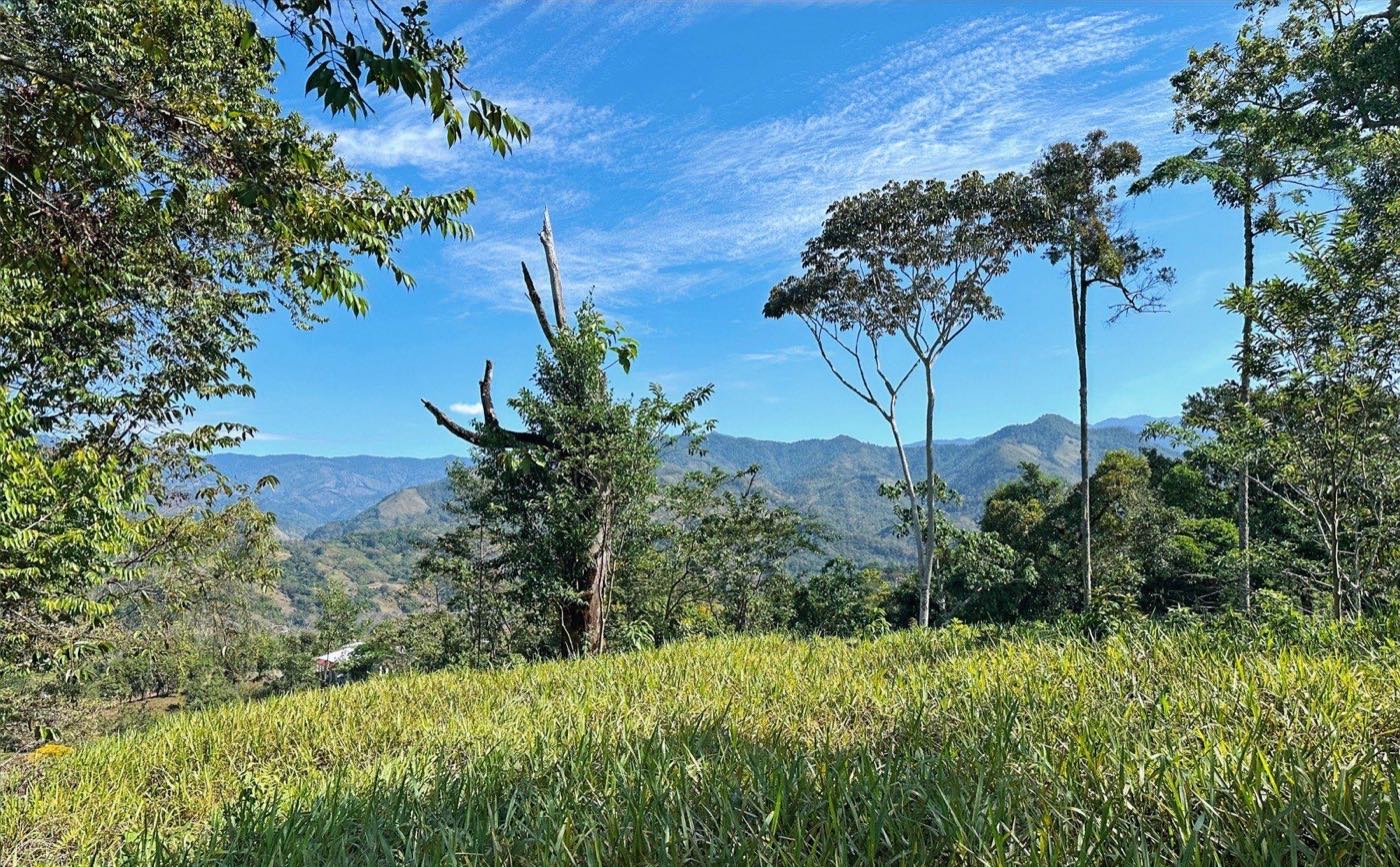 Vistas Panoramica, Santa Cruz