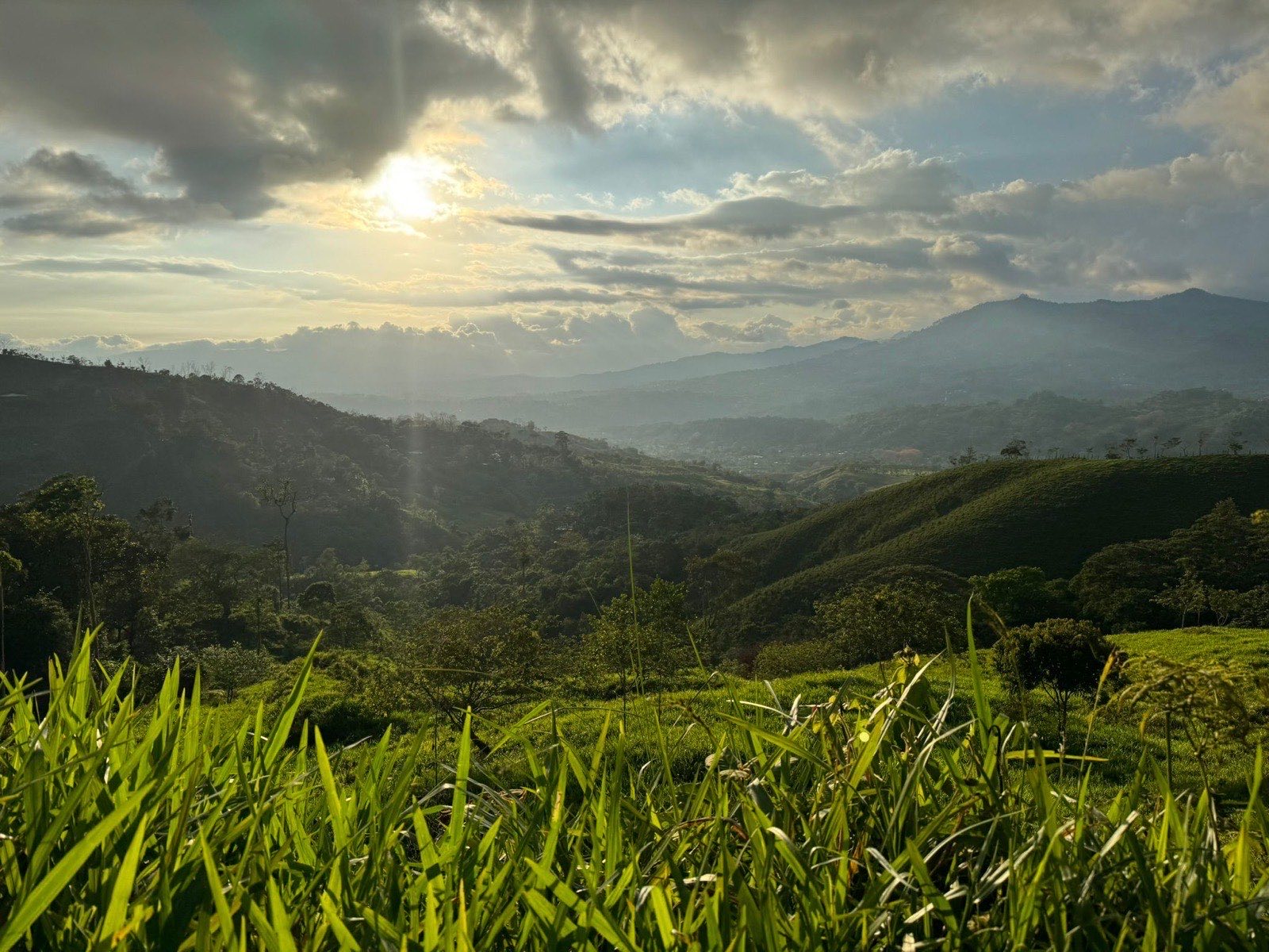 Vistas Santa Cruz, Santa Cruz