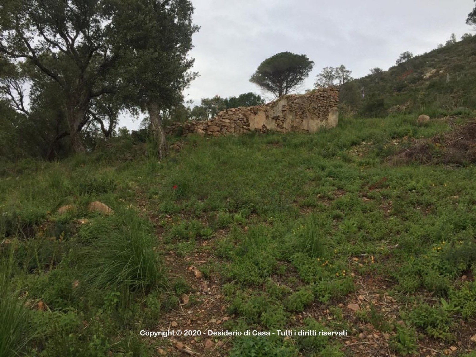 Ruin on 4200 m2 lot, Cefalù