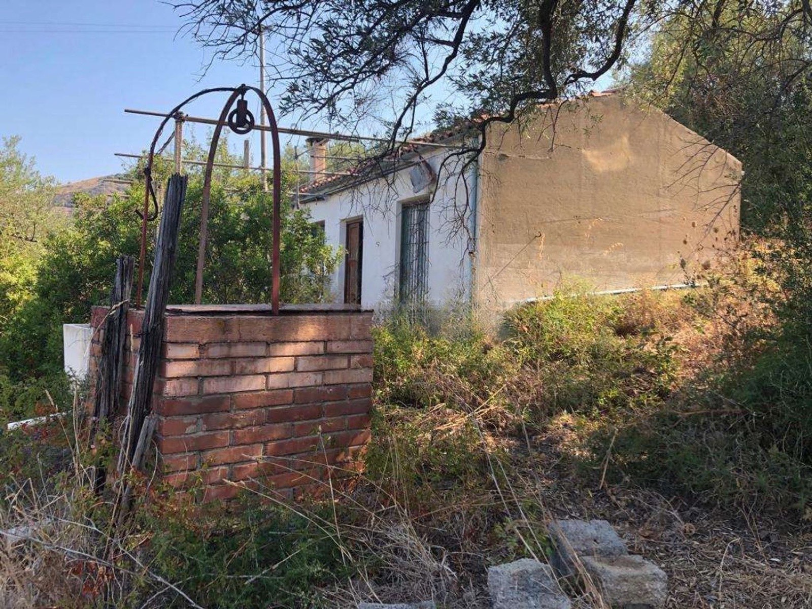 8000 m2 ash and olive land with cottage, Pollina