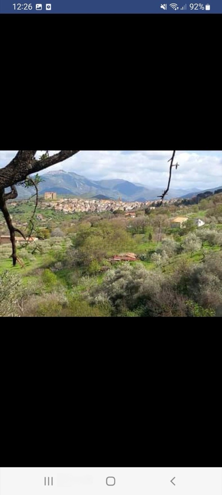 Casale with 70-80 olive trees, Castelbuono