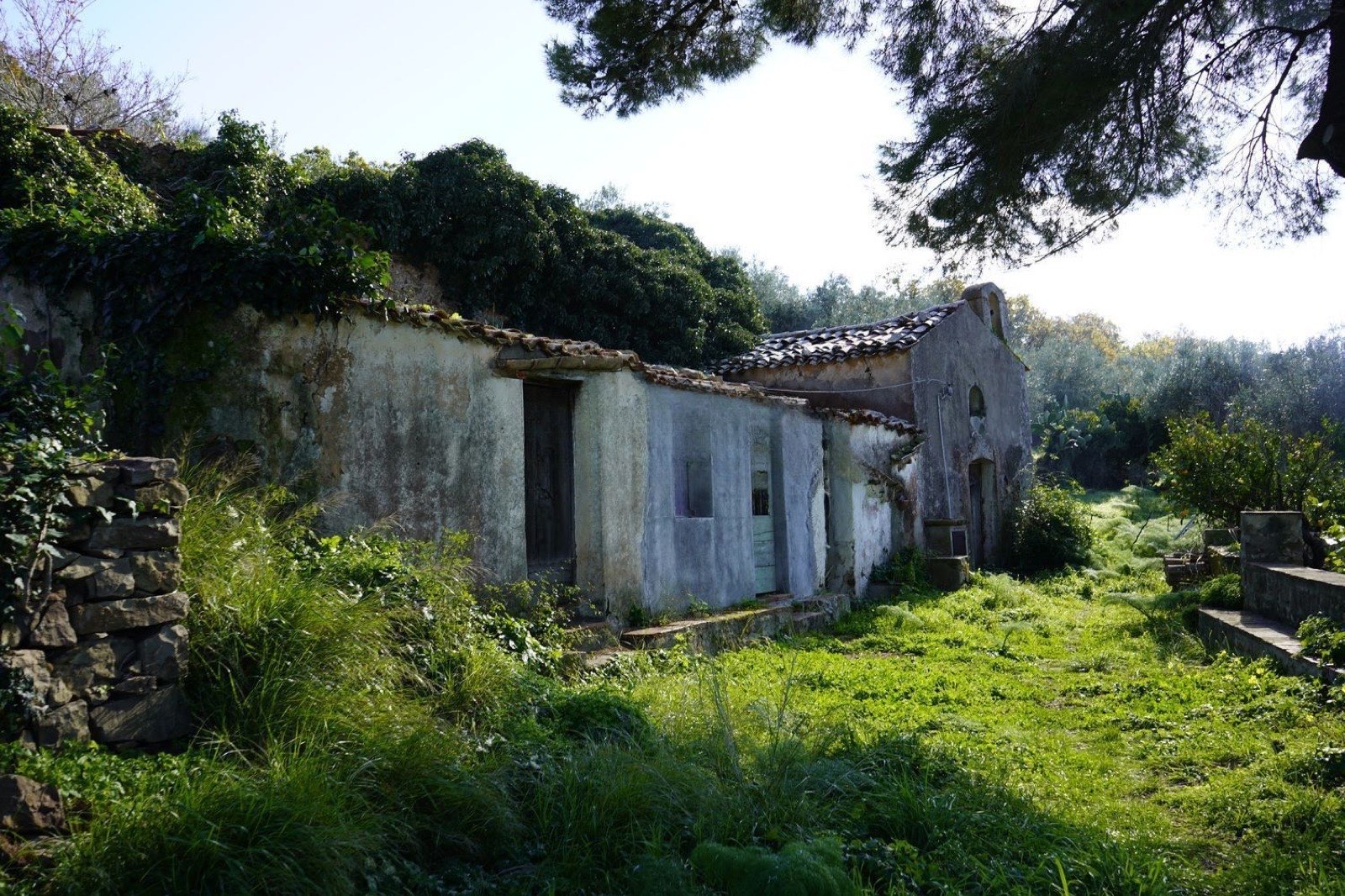 Stone casale in centuries-old olive grove, Pollina