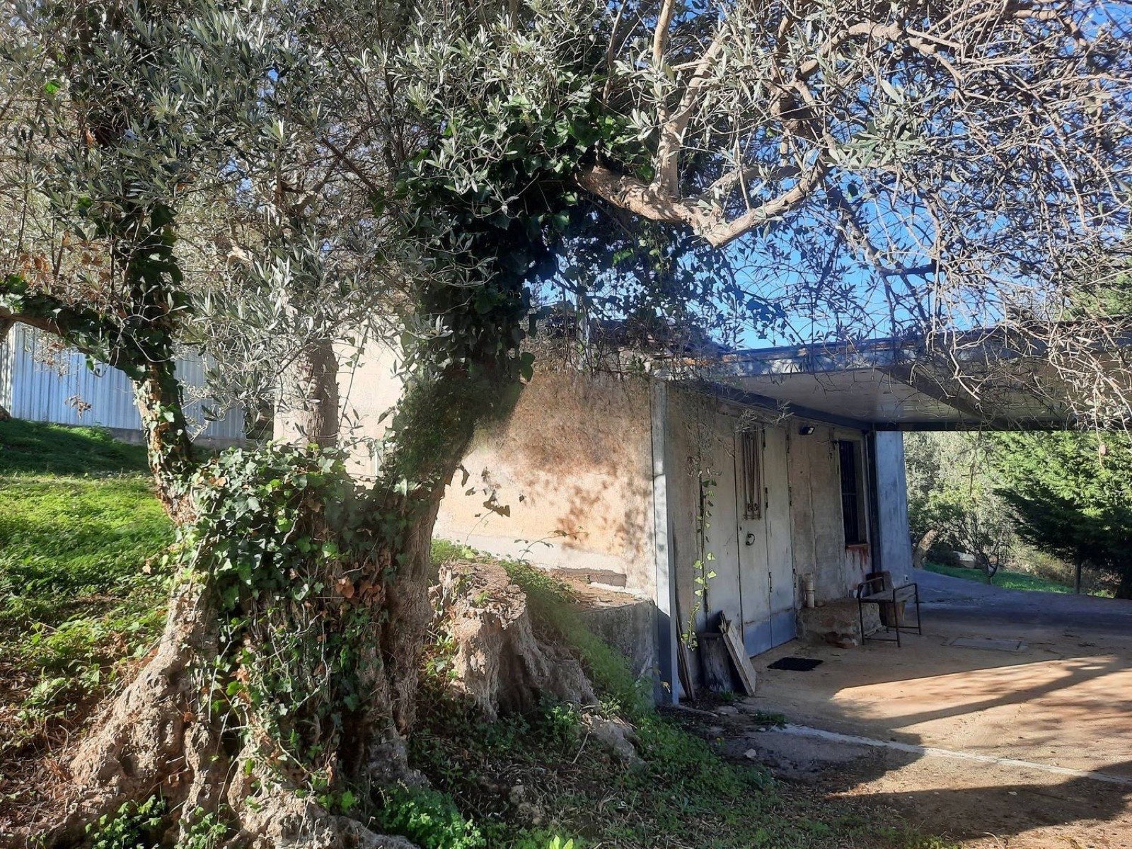 Restored pre-1942 rural cottage with sea view, Tusa