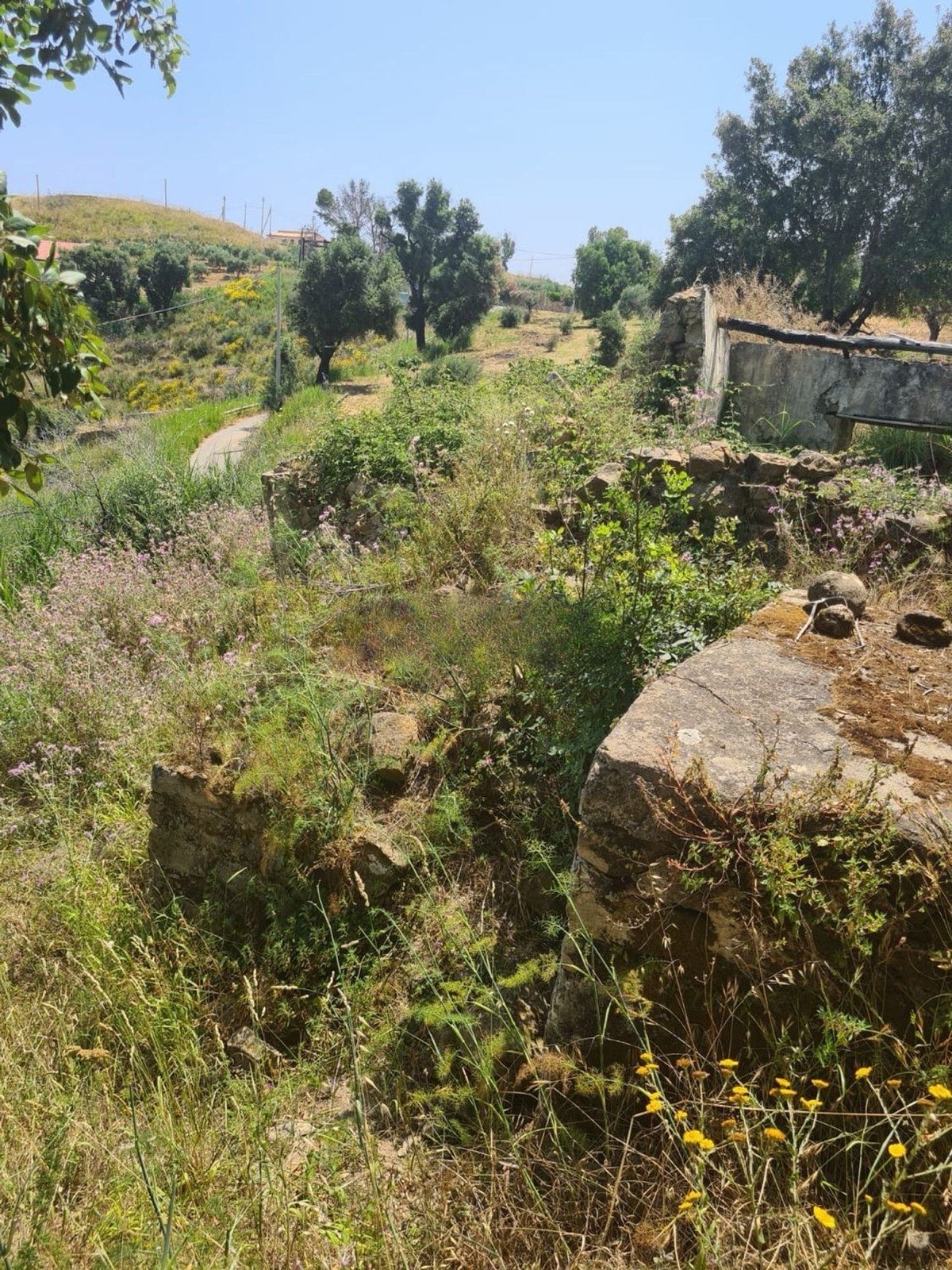 3683 m2 sea-view land with rustic building, Cefalù