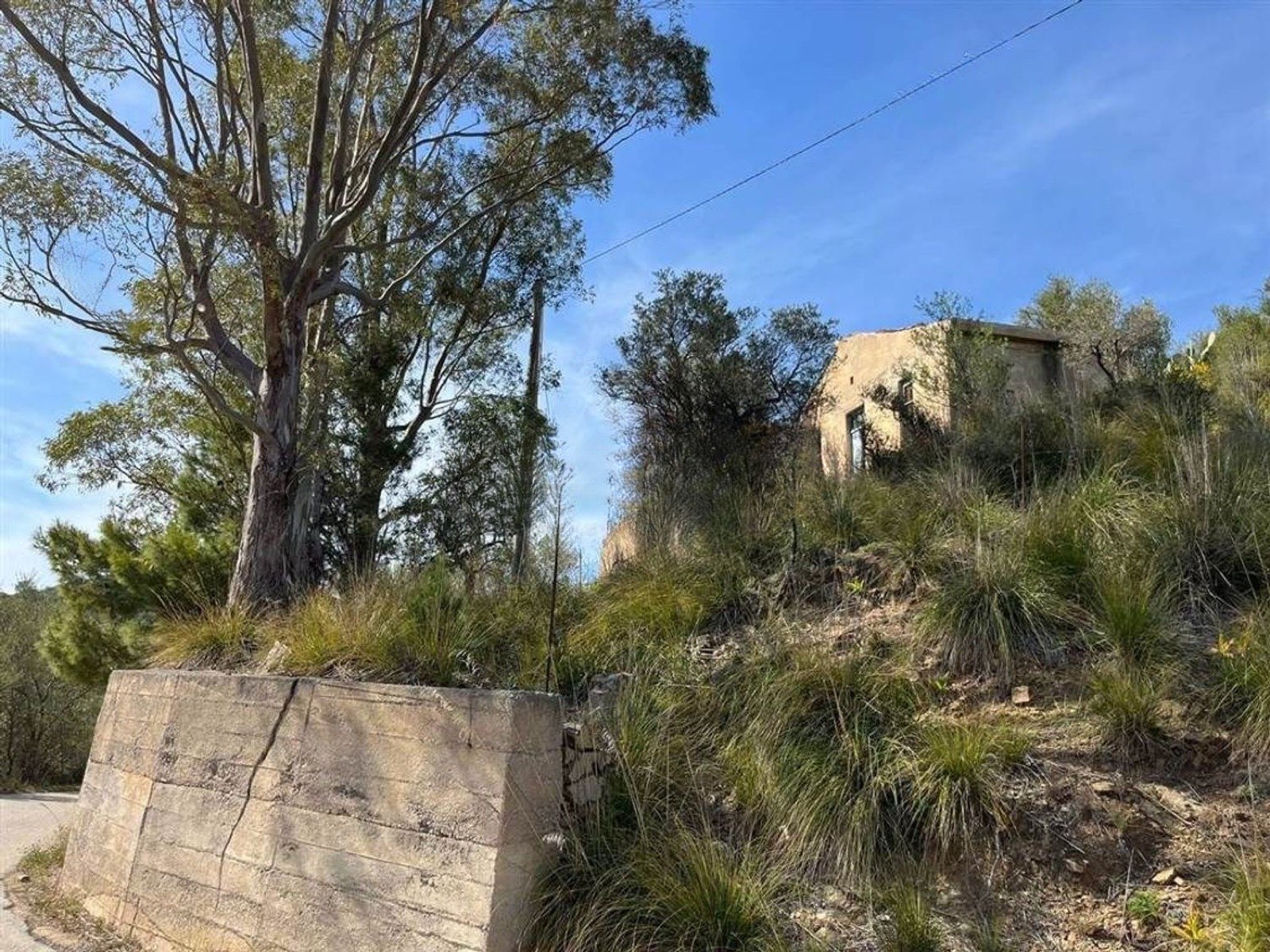 Abandoned 1950s fondo rustico, Castelbuono