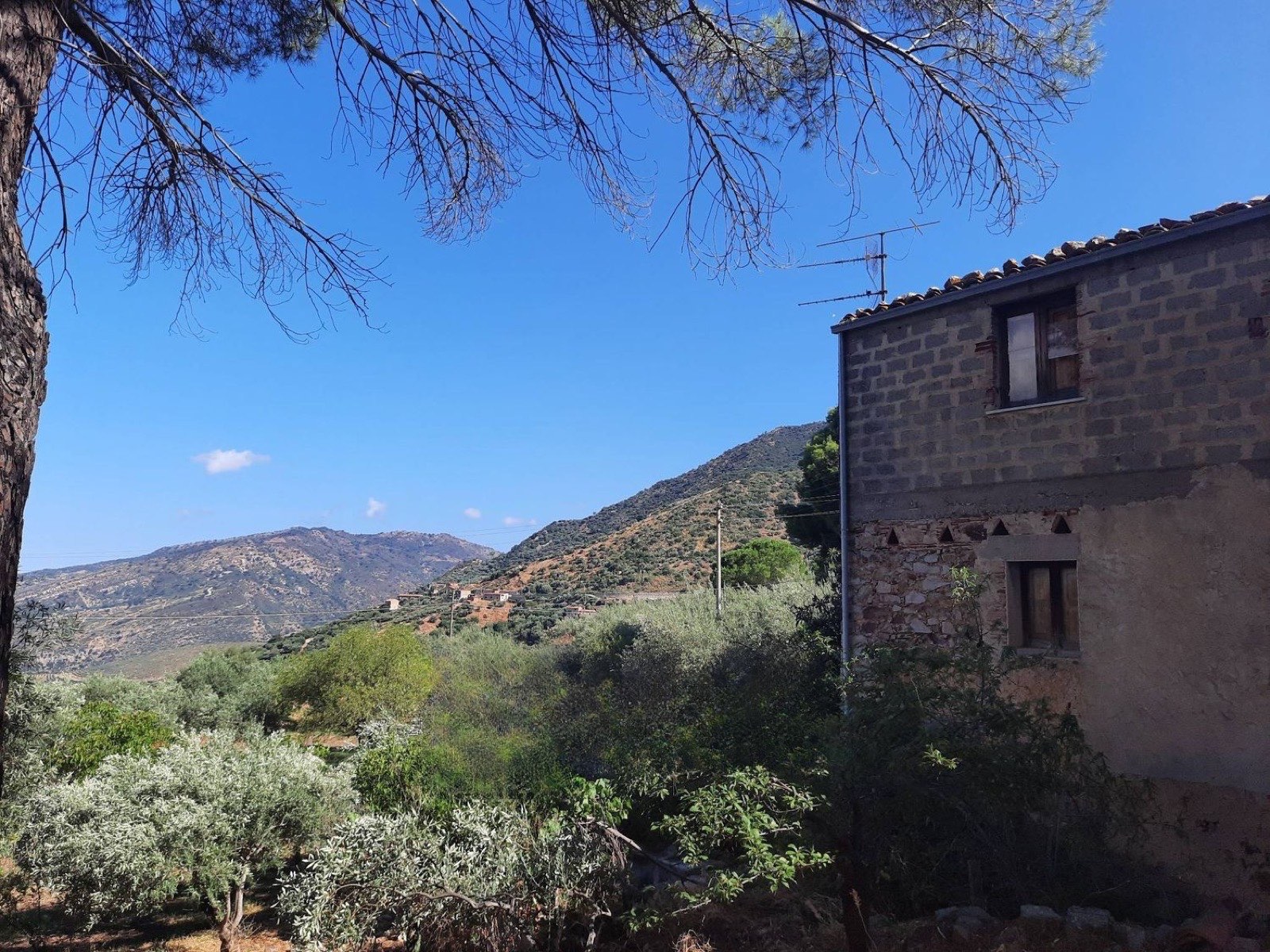 Early-1900s farmhouse with olives, mains water & power, San Mauro Castelverde