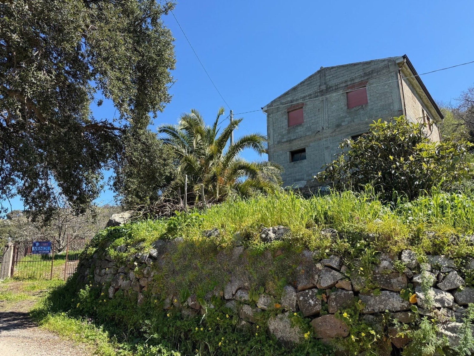 Farm storage shell with ~0.6 ha orchard near Tusa beaches, Tusa